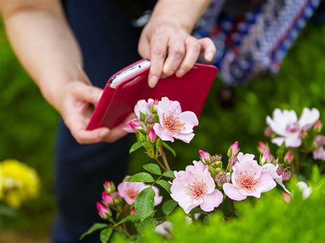 Each month has a different nature theme. Printemps Fleurs Plantes - Photo gratuite sur Pixabay