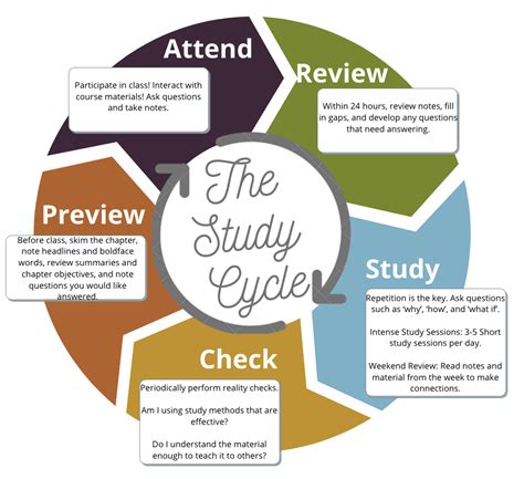 Study Cycle Student Success Umass Amherst