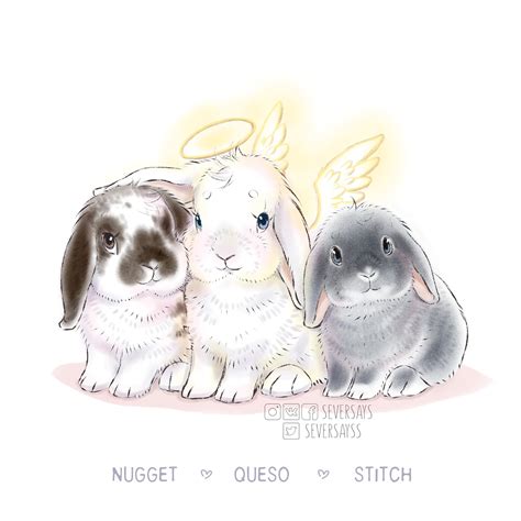 Adorable Trio Rabbits