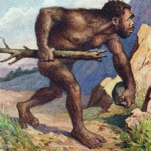 Meateating Among The Earliest Humans The Hominid Post