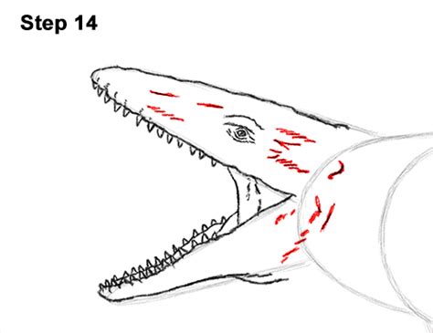 How To Draw Mosasaurus