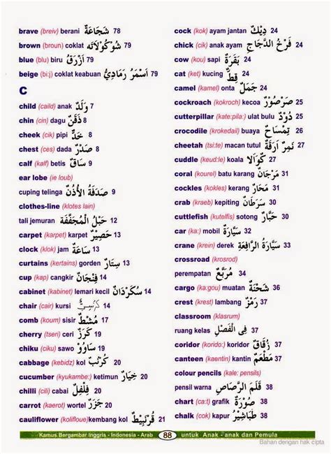 Perkenalan Dalam Bahasa Arab Beserta Artinya