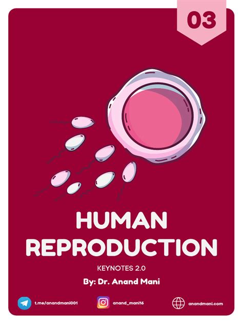2human Reproduction Notes Pdf