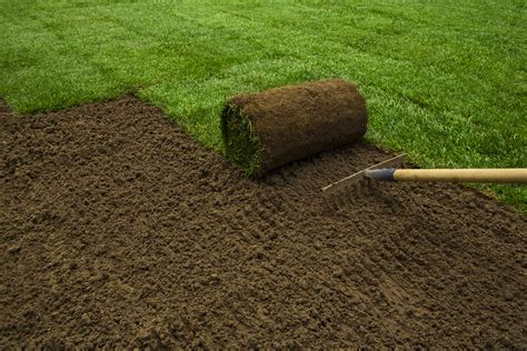 If so, how well did the new sod do during the season? Quick Tips For Planting Sod - Wells Brothers Pet, Lawn ...