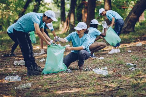 149000 People Cleaning The Environment Stock Photos Pictures
