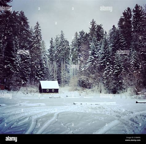 Hölzerne Hütte Im Wald Im Winter Winterlandschaft Schneebedeckte Haus