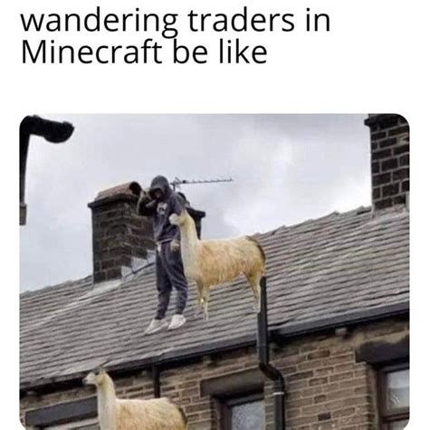 (don't forget to share!) 100 funny minecraft memes. 70 Dank Minecraft Memes That Only Fans Can Relate To - Inspirationfeed