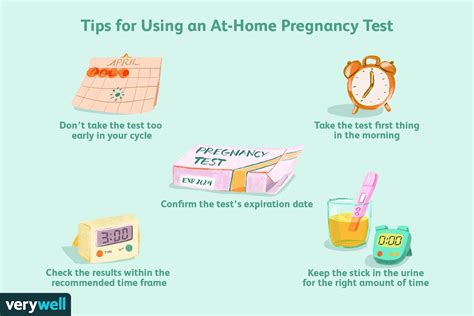 False Positive Pregnancy Test Causes And Coping