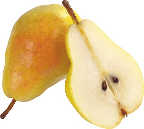 Download Pear Png Image Hq Png Image In Different Resolution Freepngimg