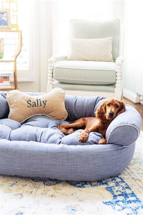 Alibaba.com brings you the most reliable, luxurious, and cozy comfy dog bed that your pets will adore forever. Comfy Couch Pet Bed | Dog couch, Dog bed, Dog rooms
