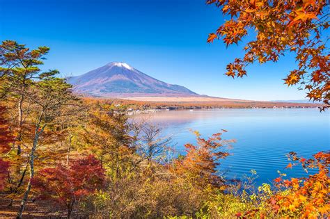 Shizuoka Travel Guide What You Need To Know To Plan A Trip To