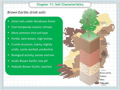 11 Soil Characteristics Conditions That Impact On The Development Of