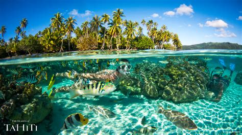 Um ein meeting auf zoom zu starten, benötigen sie nur einige wenige schritte auszuführen. Tahiti kommt zu dir… und deinen ®Zoom-Meetings | Tahiti ...