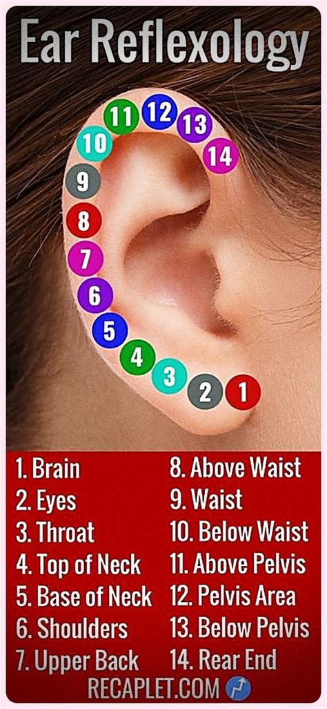 This Is What Happens When You Massage This Point On Your Ear Ear Reflexology Reflexology
