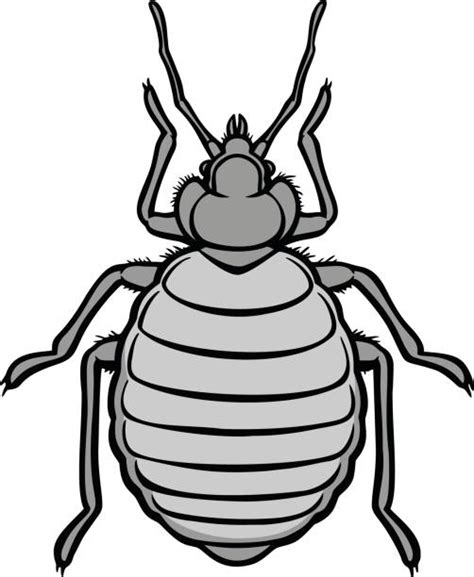 Bed Bug Bites Illustrations Royalty Free Vector Graphics And Clip Art