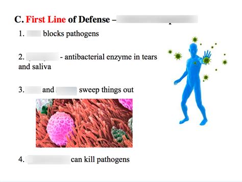The Immune System First Line Of Defense Diagram Quizlet