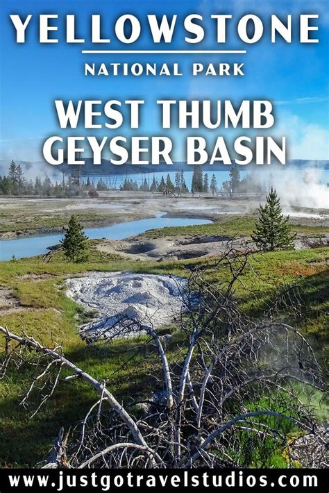 West Thumb Geyser Basin In Yellowstone National Park Yellowstone