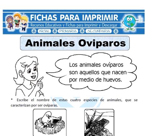 Lista 96 Foto Dibujos De Animales Viviparos Y Oviparos Para Colorear