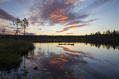 Midnight Sun Floating In Lake In Rovaniemi Rovaniemi Discovering Finland