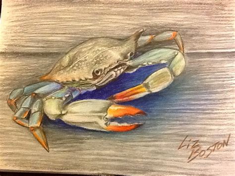 Blue Crab Drawing At Getdrawings Free Download
