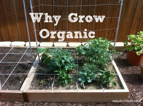 Why Grow An Organic Garden A Less Toxic Lifea Less Toxic Life