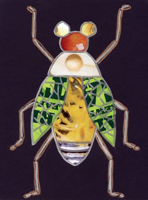 Bug Collage Project Insect Art Projects Collage Art Projects Insect Art