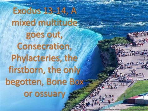 Exodus 13 14 A Mixed Multitude Consecrate Phylacteries The Firstb