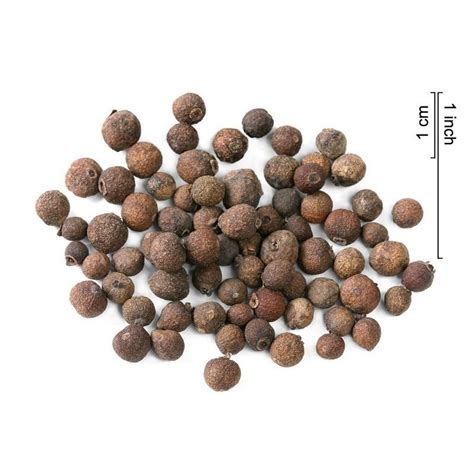 allspice seeds pimenta dioica price €2 25