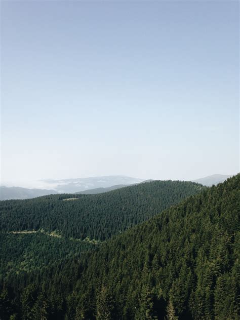 Free Images Landscape Tree Nature Forest Horizon Wilderness