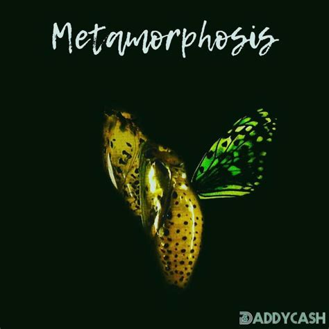 ‎metamorphosis By Daddy Cash On Apple Music