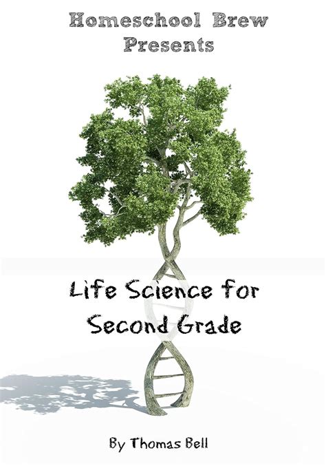 Life Science For Second Grade Second Grade Science Lesson Activities
