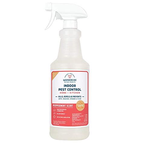 Certified pest control 4439 state rd. How to Get Rid of Silverfish - Tips from an Exterminator ...