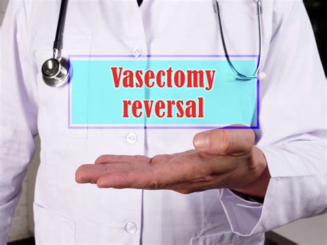 Sperm Aspiration Vs Vasectomy Reversal Male Fertility Treatment