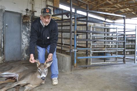 Deer Harvest Up In Washington County News Sports Jobs News And
