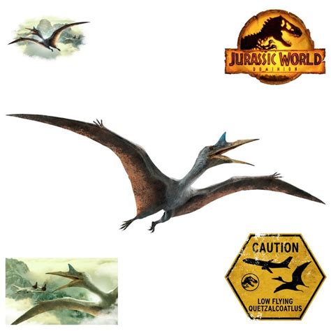 Jurassic World Dominion Quetzalcoatlus Realbig Officially Licensed In 2022 Jurassic World