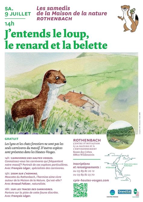 J Entends Le Loup Le Renard Et La Belette Sam Juillet Cpie Des Hautes Vosges