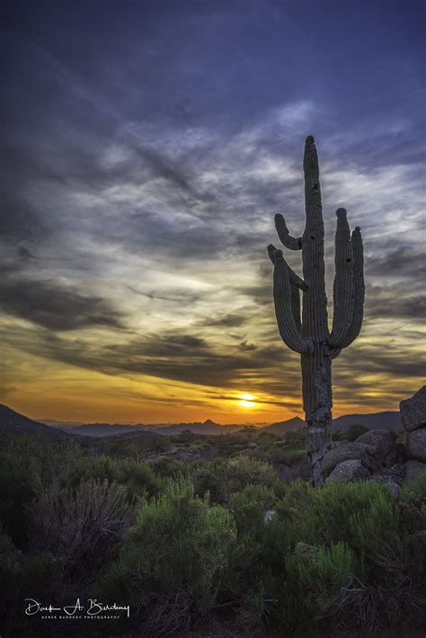 Desert Mountain Scottsdale Arizona Desert Sunset Sunrise Pictures
