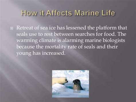 Climate Change And Its Effects On Marine Life Ppt