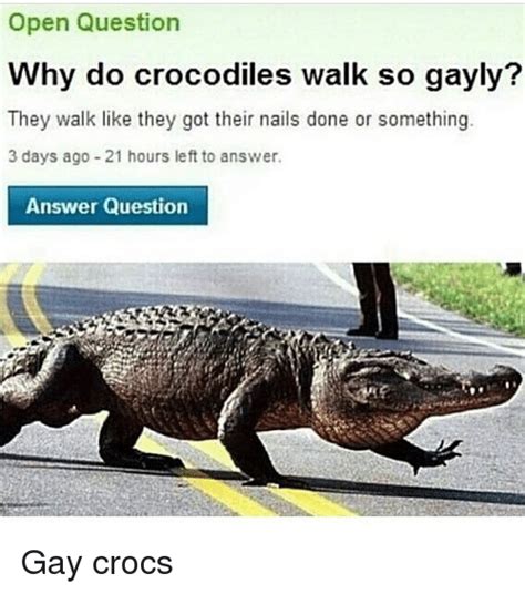 Open Question Why Do Crocodiles Walk So Gayly They Walk Like They Got