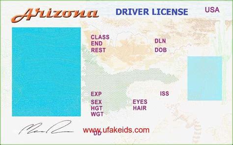 Printable Temporary License Plate California Free Printable Calendar