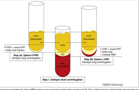 Table 1 From Classification Of Platelet Concentrates From Pure