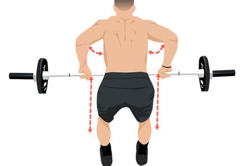 Barbell Row Form Learn The Barbell Row Proper Form Barbell Academy