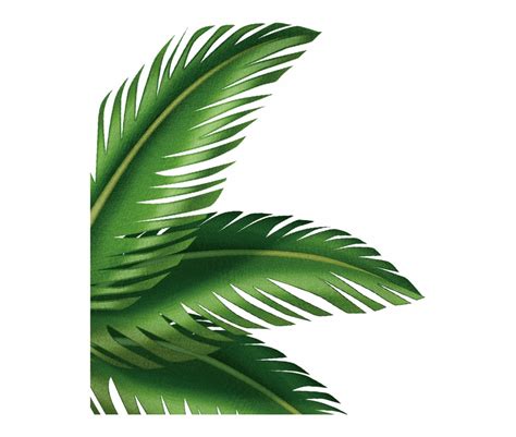 Palm Leaf Clip Art Free Palm Leaves Clipart Clip Easter Clipground