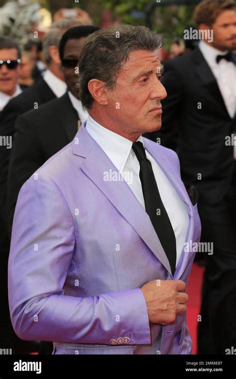 Sylvester Stallone At The “the Homesman” Premiere Held At The Palais
