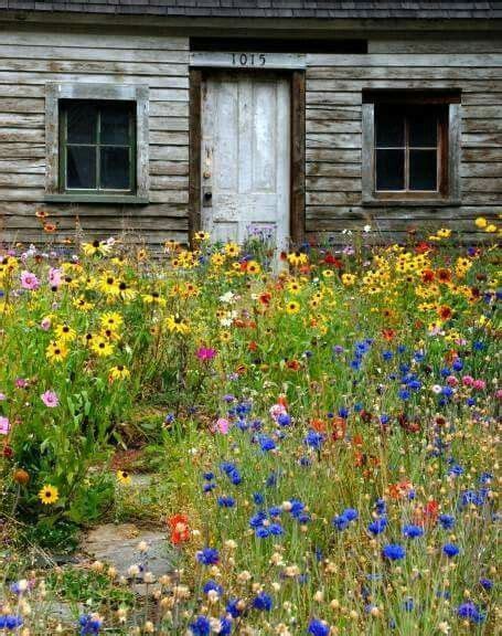 Love The Colors Of Nature Cottage Garden Wildflower Garden Wild