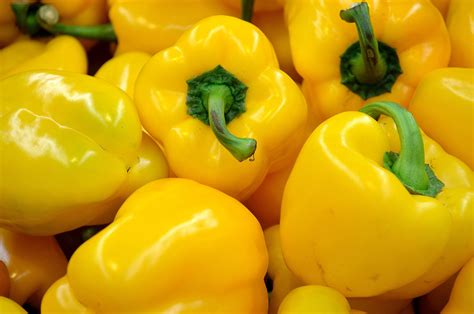 Yellow Pepper Free Stock Photo Public Domain Pictures