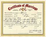 Images of San Mateo County Marriage License Search