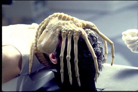 At least if you aren't too picky about the origins of the meat. Facehugger | Alien Wiki | Fandom
