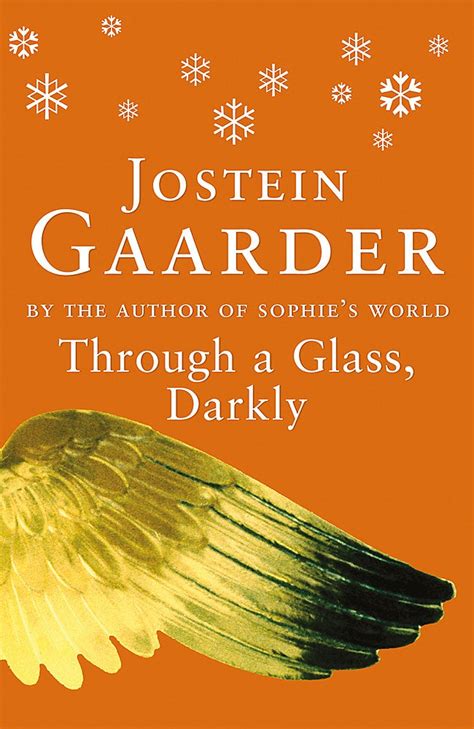 Through A Glass Darkly Gaarder Jostein 9780753806739 Books