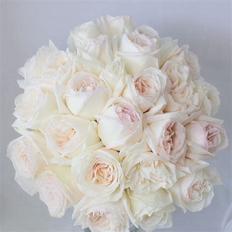 25 White Ohara Garden Roses Bouquet